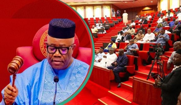 Senate Prioritises State Police Bill as Lawmakers Resume Plenary