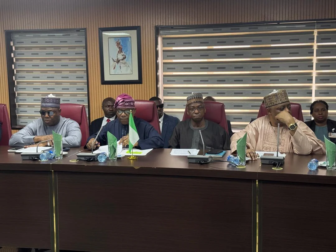 Tinubu Declines Meeting with South African Delegation, Directs Envoys to Foreign Affairs Minister Amid Xenophobia Row