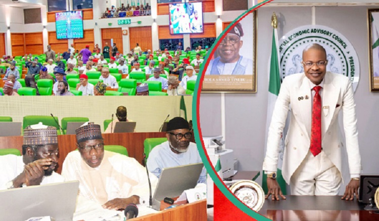 House Panel Uncovers 29 Allegedly Forged Government Documents Linked to Purported Agency