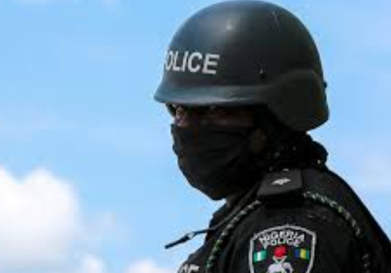 State Assemblies Get State Police Bill as Constitutional Amendment Enters Critical Stage
